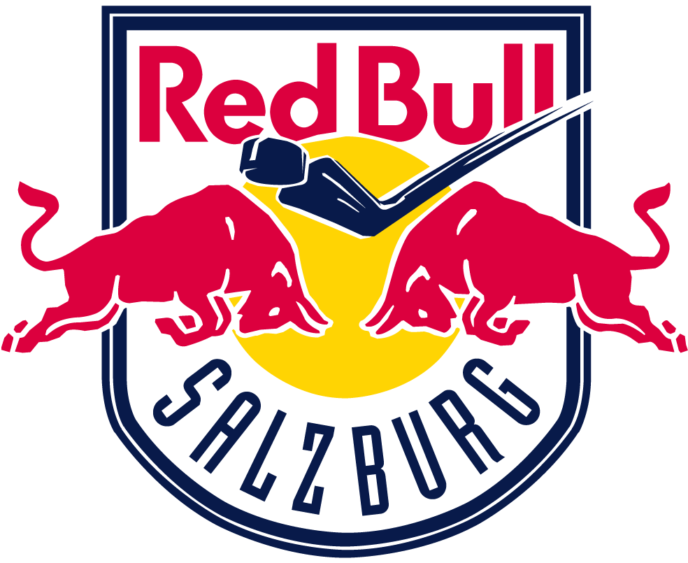 Red Bull Salzburg 2013-Pres Primary Logo iron on transfers for clothing
